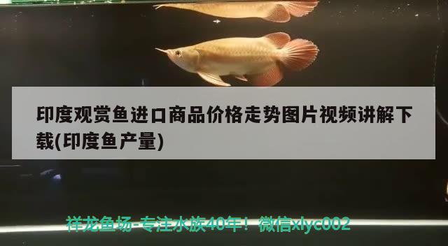 印度观赏鱼进口商品价格走势图片视频讲解下载(印度鱼产量)