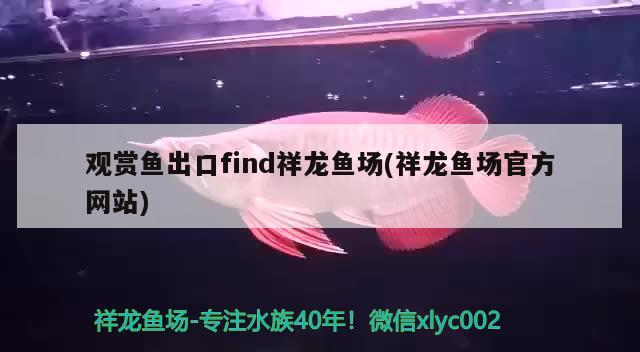 观赏鱼出口find祥龙鱼场(祥龙鱼场官方网站) 观赏鱼进出口