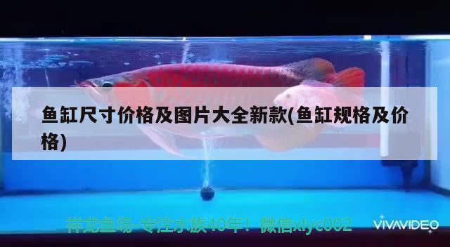 鱼缸尺寸价格及图片大全新款(鱼缸规格及价格) 祥龙水族滤材/器材