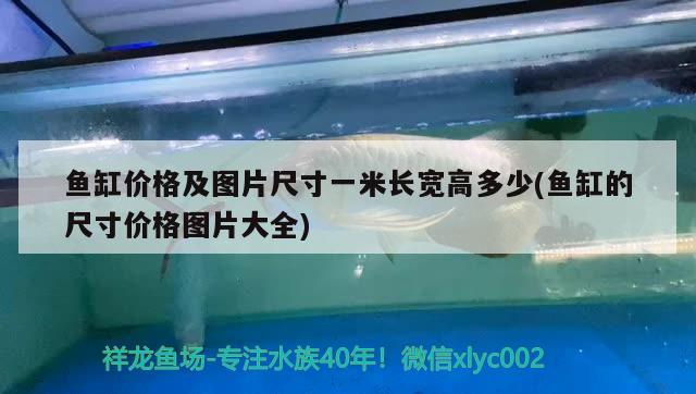 鱼缸价格及图片尺寸一米长宽高多少(鱼缸的尺寸价格图片大全) 祥龙龙鱼鱼粮