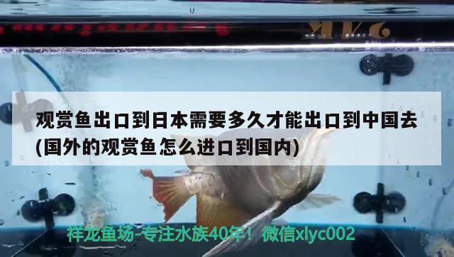 观赏鱼出口到日本需要多久才能出口到中国去(国外的观赏鱼怎么进口到国内)