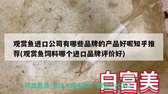 观赏鱼进口公司有哪些品牌的产品好呢知乎推荐(观赏鱼饲料哪个进口品牌评价好)