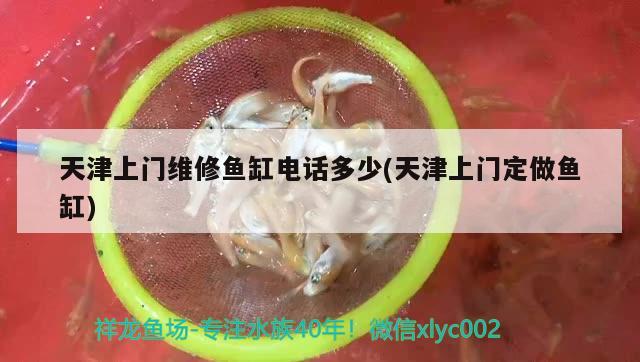 天津上门维修鱼缸电话多少(天津上门定做鱼缸) 祥龙进口元宝凤凰鱼