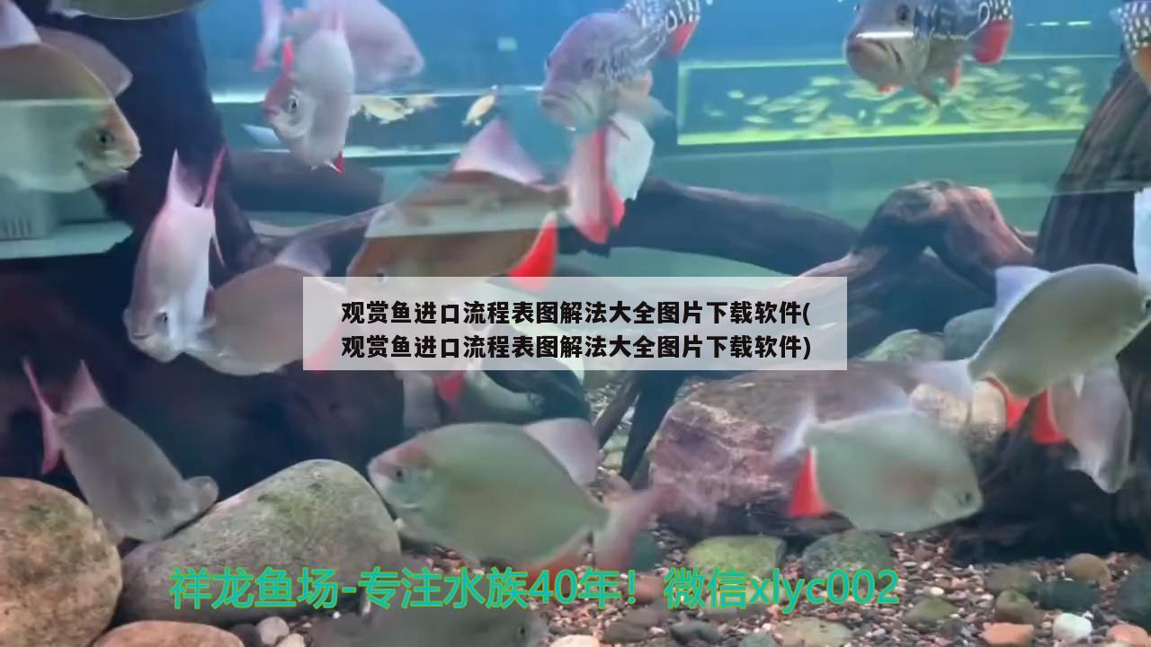 南京大型鱼缸哪家公司做的产品质量好，弱弱的问下南京哪里有卖鱼缸的