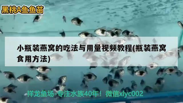 小瓶装燕窝的吃法与用量视频教程(瓶装燕窝食用方法) 马来西亚燕窝