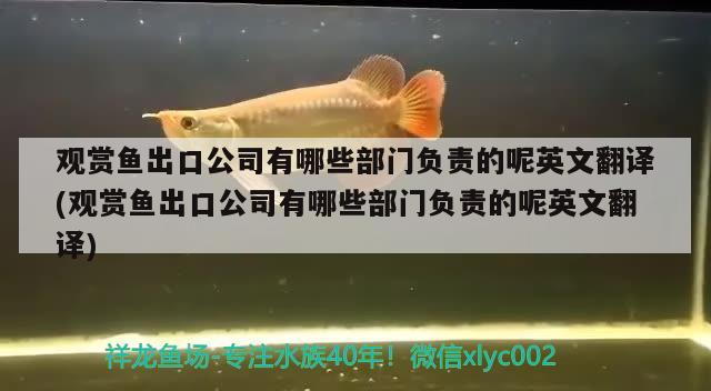 观赏鱼出口公司有哪些部门负责的呢英文翻译(观赏鱼出口公司有哪些部门负责的呢英文翻译) 观赏鱼进出口