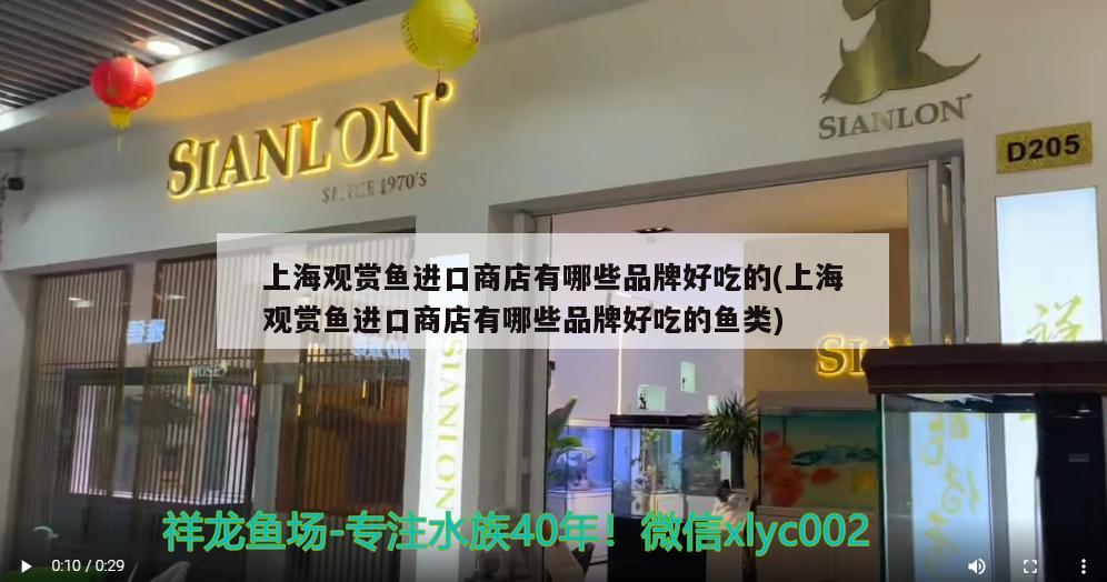 上海观赏鱼进口商店有哪些品牌好吃的(上海观赏鱼进口商店有哪些品牌好吃的鱼类) 观赏鱼进出口