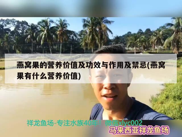 燕窝果的营养价值及功效与作用及禁忌(燕窝果有什么营养价值) 马来西亚燕窝