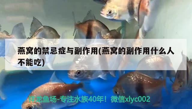 广东闽江水族鱼缸配件厂联系电话广东闽江水族鱼缸配件厂的优势，广东闽江水族鱼缸配件厂地址广东闽江水族鱼缸配件厂的优势 杀菌消毒设备 第1张