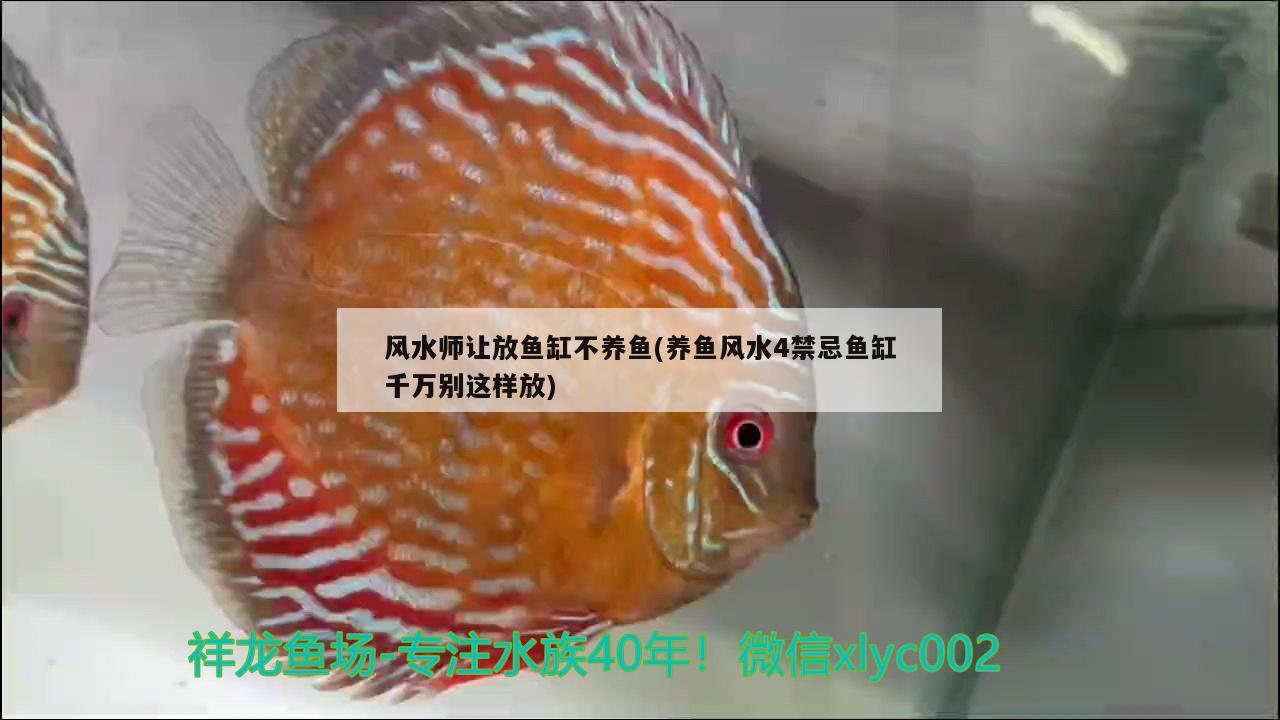 风水师让放鱼缸不养鱼(养鱼风水4禁忌鱼缸千万别这样放) 鱼缸风水