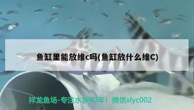 鱼缸二手回收平台有哪些 二手鱼缸回收价格 养鱼的好处 第3张