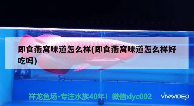 石家庄长安墨缘观赏鱼店 全国水族馆企业名录 第3张