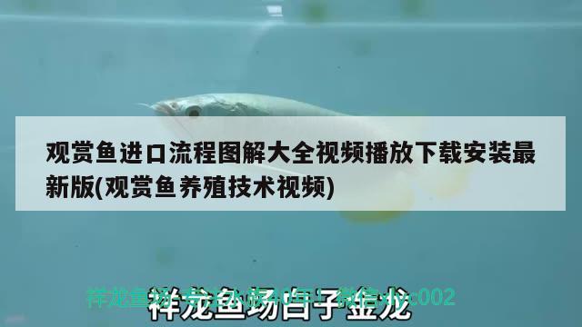 石家庄长安墨缘观赏鱼店 全国水族馆企业名录 第1张