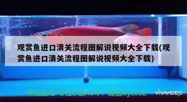 观赏鱼进口清关流程图解说视频大全下载(观赏鱼进口清关流程图解说视频大全下载)