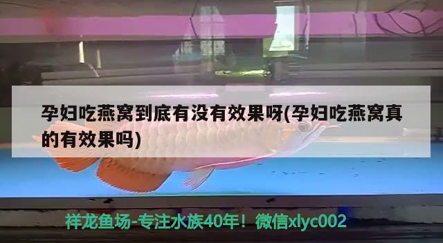 60的鱼缸怎么造景 求详细！ 。，60厘米原生缸造景过滤要怎么放