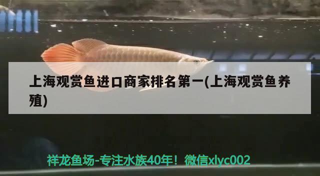 金昌水族馆（金州火车站附近有什么可玩的） 委内瑞拉奥里诺三间鱼苗 第2张