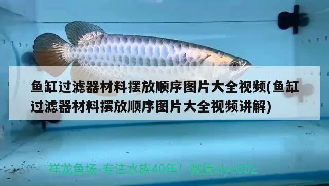 鱼缸过滤器材料摆放顺序图片大全视频(鱼缸过滤器材料摆放顺序图片大全视频讲解)