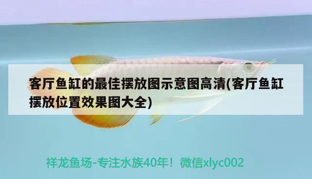 客厅鱼缸的最佳摆放图示意图高清(客厅鱼缸摆放位置效果图大全)