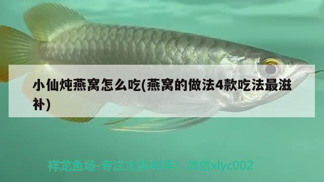 金龙鱼稻谷鲜生米多少钱(金龙鱼稻谷鲜生价格) 其他益生菌