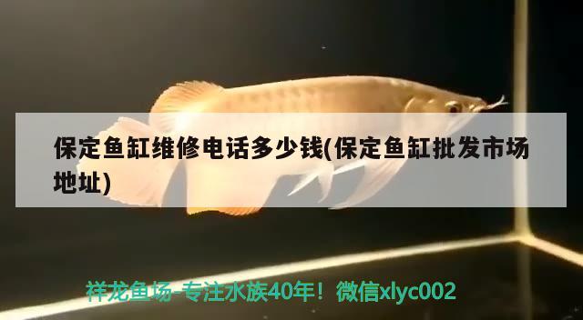 可丽爱鱼缸灯光设置说明书电子版(可丽爱鱼缸灯光设置说明书电子版) 广州水族器材滤材批发市场