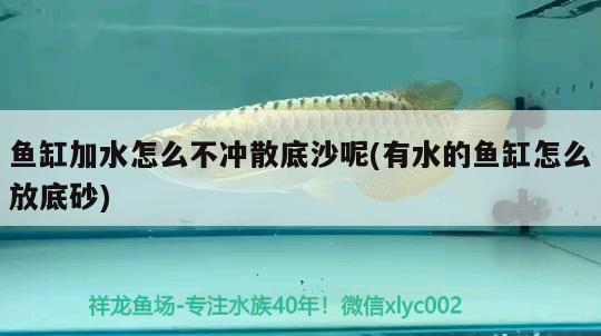抚顺市顺城区权洲观赏鱼养殖场 全国水族馆企业名录 第4张