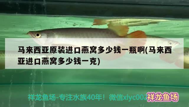 马来西亚原装进口燕窝多少钱一瓶啊(马来西亚进口燕窝多少钱一克)