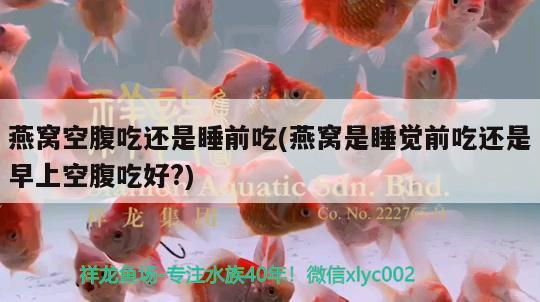 丽水水族批发市场地址电话号码查询及查询方法，丽水水族批发市场地址电话号码 观赏鱼水族批发市场 第1张