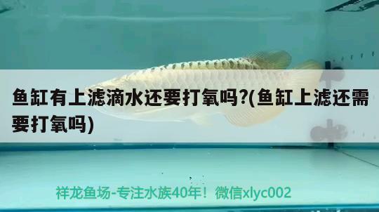 晋州哪里有卖鱼缸的地方呀电话号码：农村的老屋破破烂烂，为什么还要回农村老家过年