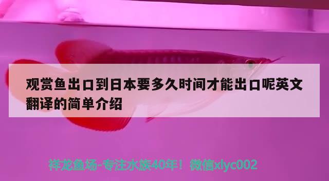 观赏鱼出口到日本要多久时间才能出口呢英文翻译的简单介绍