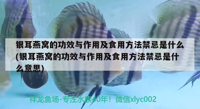 银耳燕窝的功效与作用及食用方法禁忌是什么(银耳燕窝的功效与作用及食用方法禁忌是什么意思)