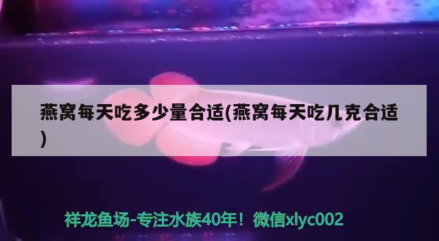 燕窝每天吃多少量合适(燕窝每天吃几克合适) 马来西亚燕窝