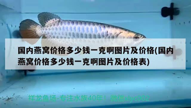 国内燕窝价格多少钱一克啊图片及价格(国内燕窝价格多少钱一克啊图片及价格表)