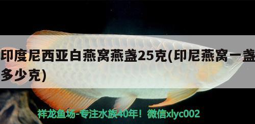 印度尼西亚白燕窝燕盏25克(印尼燕窝一盏多少克)