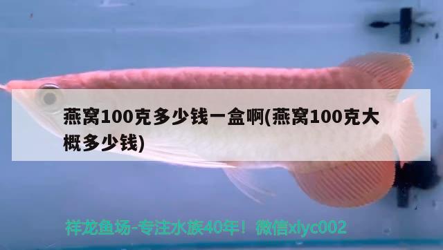 燕窝100克多少钱一盒啊(燕窝100克大概多少钱)