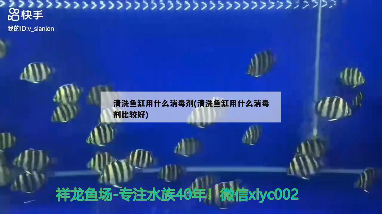 宁波海曙怡心园艺店 全国水族馆企业名录 第1张