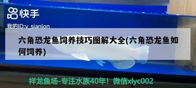 武汉义银百冠装饰，金华搬家公司价格一般是多少