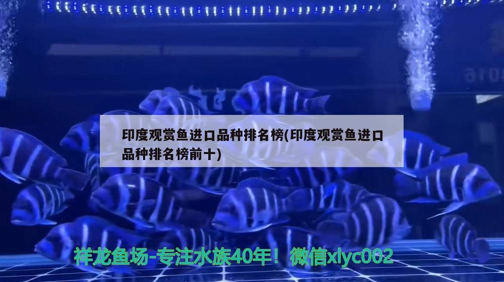 武汉义银百冠装饰，金华搬家公司价格一般是多少 养鱼的好处 第1张