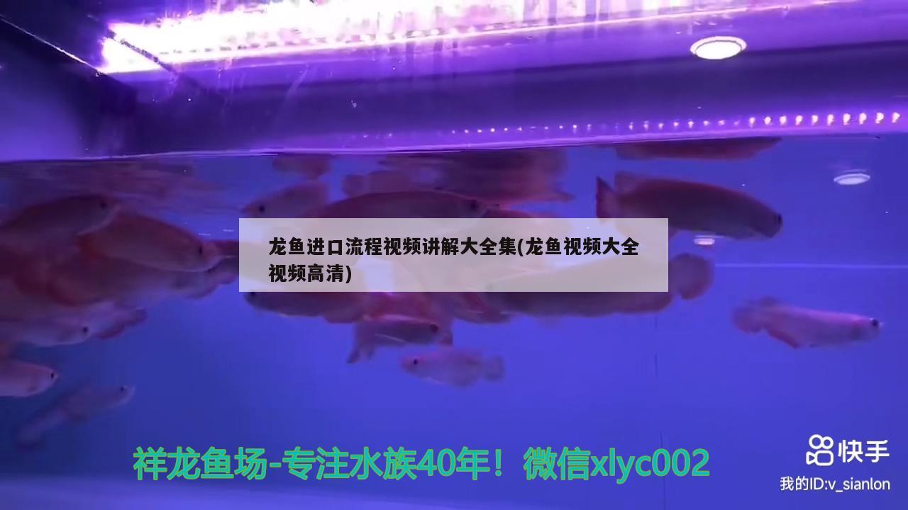 鱼缸泵的安装方法图解（鱼缸泵怎么组装） 观赏鱼