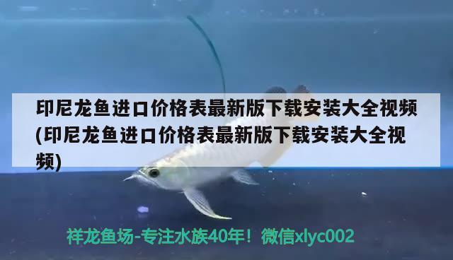 印尼龙鱼进口价格表最新版下载安装大全视频(印尼龙鱼进口价格表最新版下载安装大全视频) 观赏鱼进出口