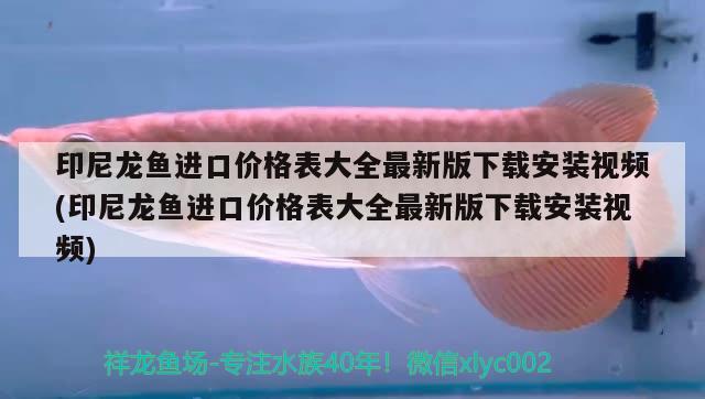 印尼龙鱼进口价格表大全最新版下载安装视频(印尼龙鱼进口价格表大全最新版下载安装视频)