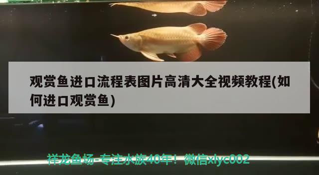 120元买的值吗 观赏鱼论坛 第2张