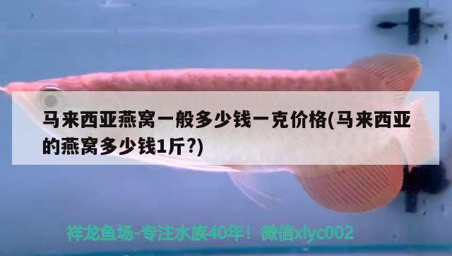 马来西亚燕窝一般多少钱一克价格(马来西亚的燕窝多少钱1斤?) 马来西亚燕窝