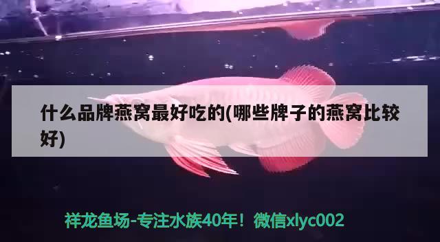 什么品牌燕窝最好吃的(哪些牌子的燕窝比较好) 马来西亚燕窝 第2张