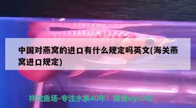 中国对燕窝的进口有什么规定吗英文(海关燕窝进口规定) 马来西亚燕窝