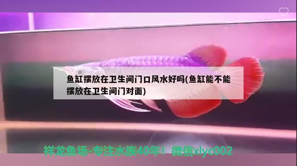 鱼缸摆放在卫生间门口风水好吗(鱼缸能不能摆放在卫生间门对面) 鱼缸风水