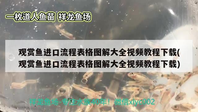 观赏鱼进口流程表格图解大全视频教程下载(观赏鱼进口流程表格图解大全视频教程下载)