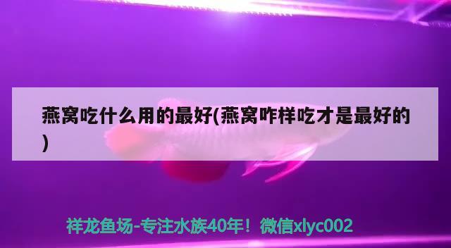 “国际水族饲养繁育培训班”首次在烟台开课 - 副本 全国水族馆企业名录 第3张