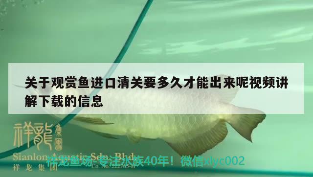 户外鱼池设计图片：户外鱼池设计图片简易 观赏鱼市场 第1张