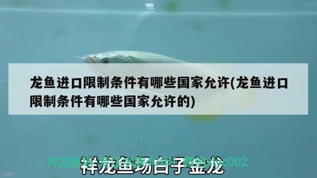 龙鱼进口限制条件有哪些国家允许(龙鱼进口限制条件有哪些国家允许的) 观赏鱼进出口