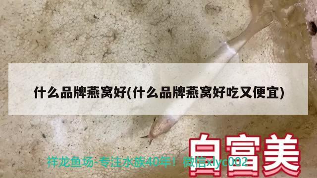 什么品牌燕窝好(什么品牌燕窝好吃又便宜)